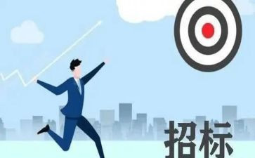 2024年招標代理工作的個人總結5篇