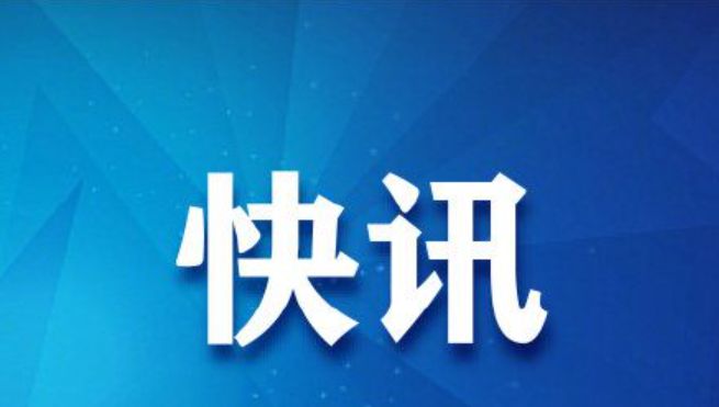 招標(biāo)代理工作制度及流程