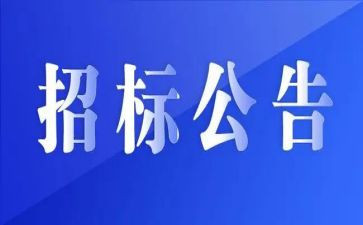 招標(biāo)代理公合同精選6篇